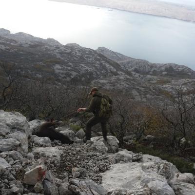 Wildcro Adriatic Hunt 00011