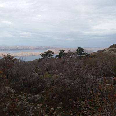 Velebit 12