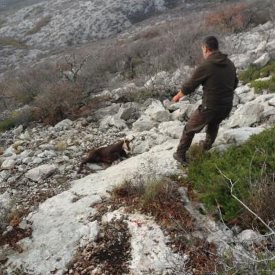 Velebit 16