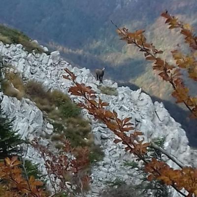 Velebit 20