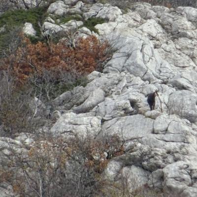 Velebit 2