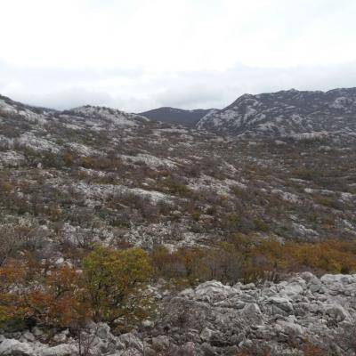 Velebit 8