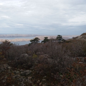 velebit-12