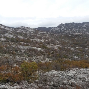 velebit-8