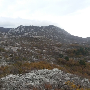 velebit-9