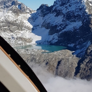wildcro_new-zealand_00013