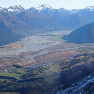 wildcro_new-zealand_00029