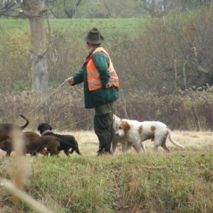 wildcro_wild_boar_hunting_00001